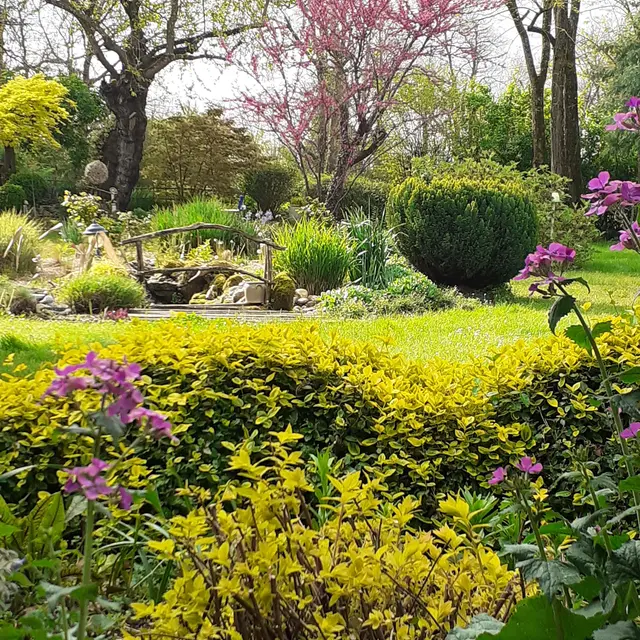 Fête de la nature : ouverture du jardin de la Prade_Albias