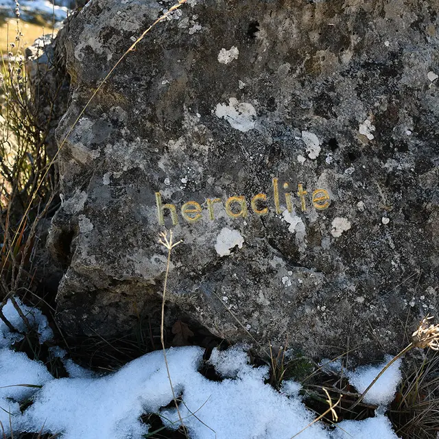 herman de vries, sommet des philosophes, 2017, Collection Musée Gassendi