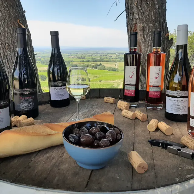 Domaine Beau Mistral