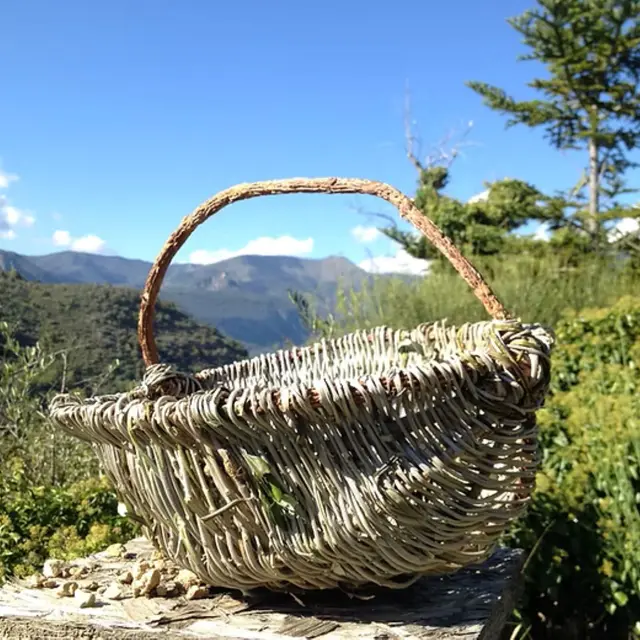 Atelier de Vannerie rustique - corbeilles et paniers_Sospel