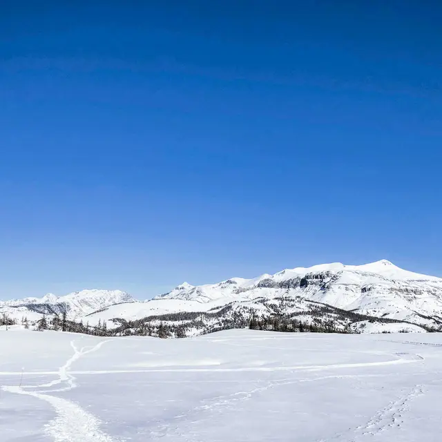 Le Plateau St Jean - N° 406_Valberg