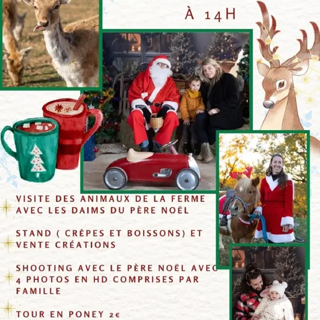 Noël à la ferme_Roumoules