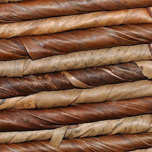 Vannerie sauvage_Arcon