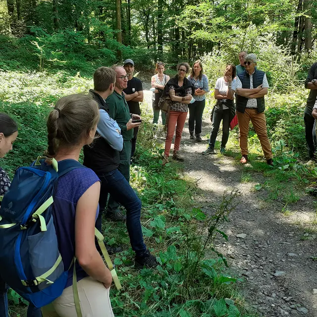 Sortie en forêt_Dingy-Saint-Clair