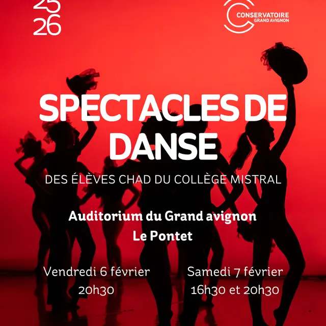 Spectacle de danse de la classe à horaires aménagés du collège Mistral_Le Pontet