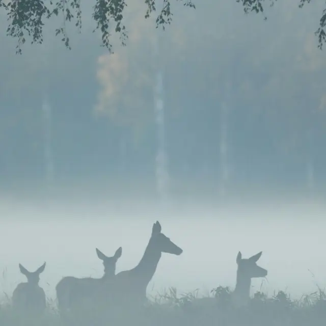 Randonnée à la demi-journée - Sur les traces des animaux_Concoules