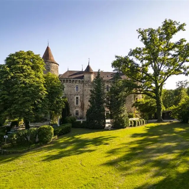Chambre d'hôtes  - Château de Codignat_Bort-l'Étang