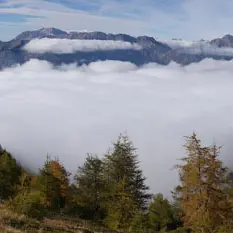 Randonnée au cœur du Parc