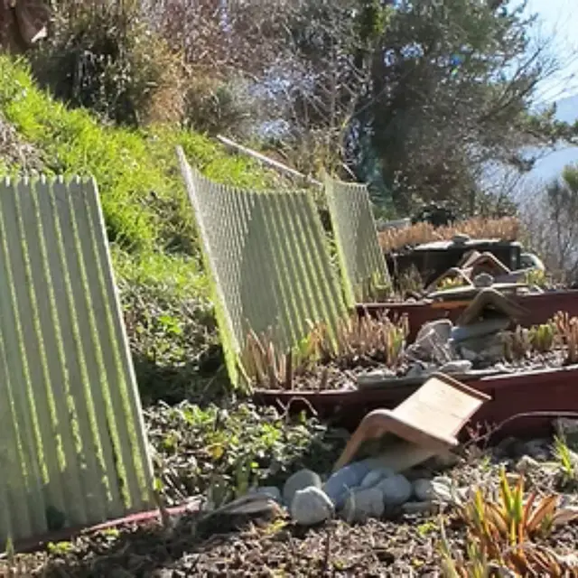 Atelier de Phyto-épuration - Théorie et étude de projets    ​_Sospel