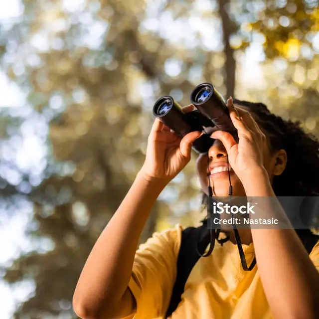 Activité - A la découverte des oiseaux_L'Île-Saint-Denis