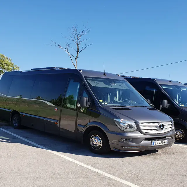 AMP LIMOUSINE