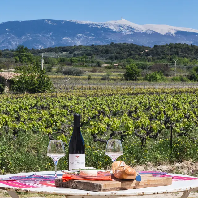 Pique-niques vignerons