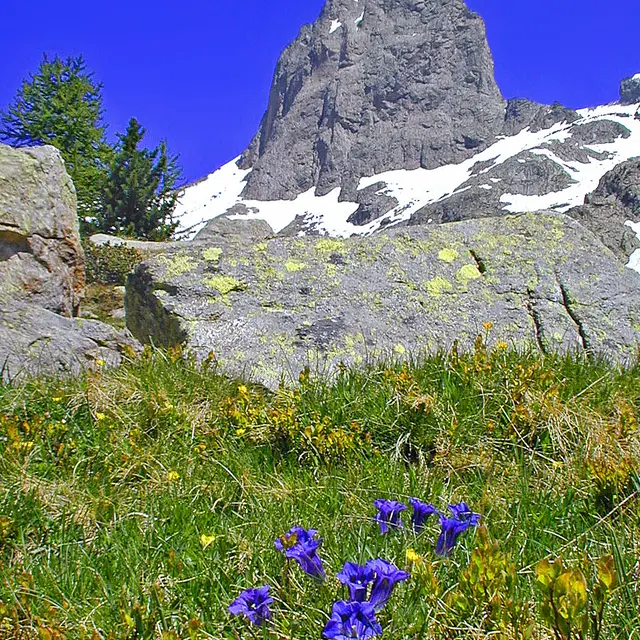 Le  Mercantour 70 ans de protection de la nature raconté par le plus ancien un garde moniteur en service_Saint-Martin-Vésubie
