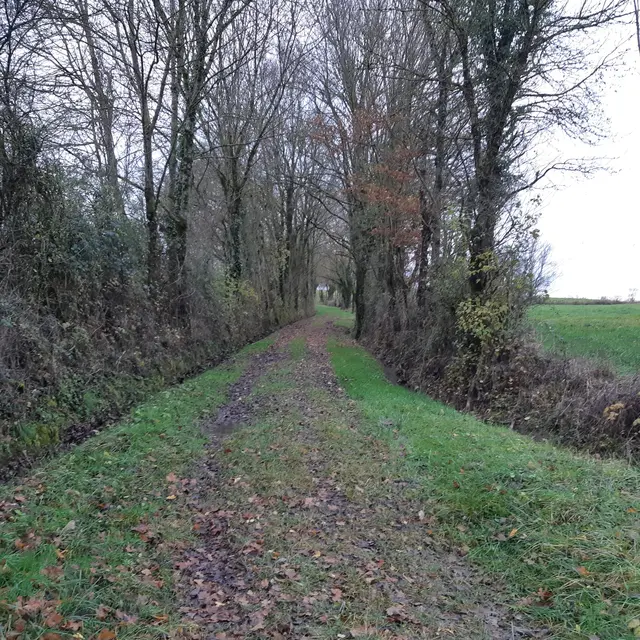 Marsonnas et le Bois de la Déserte
