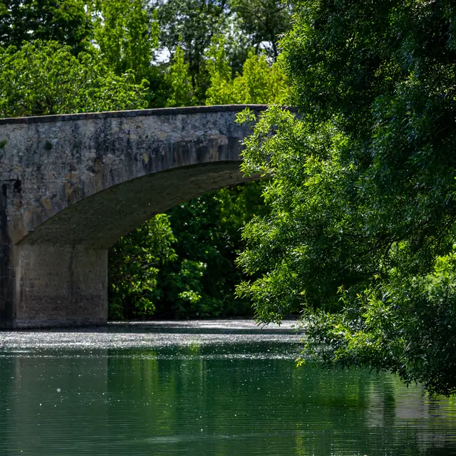 Visite guidée : l'Histoire et le Rhône - Festival «Dans les bras du Rhône»_Roquemaure