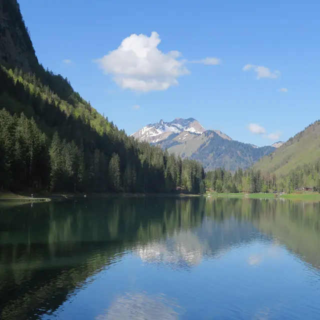 Itinéraire pédestre : du Lac de Montriond à la Cascade d’Ardent_Montriond