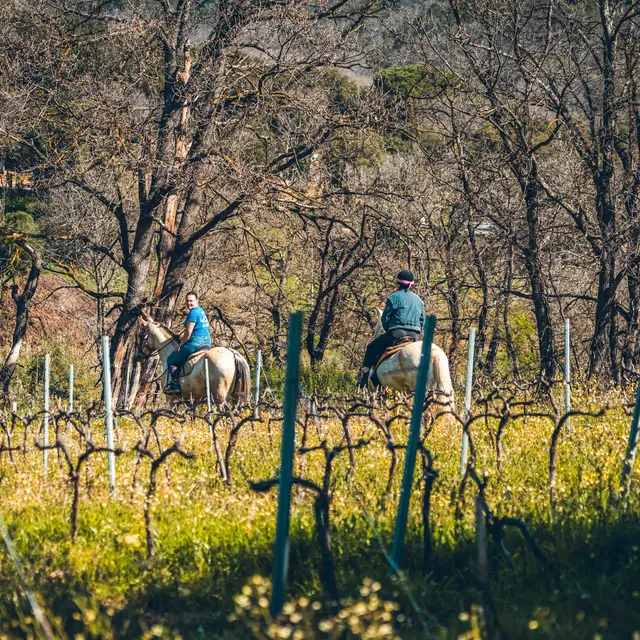 Vacances de Pâques au Ranch la Mène_Grimaud