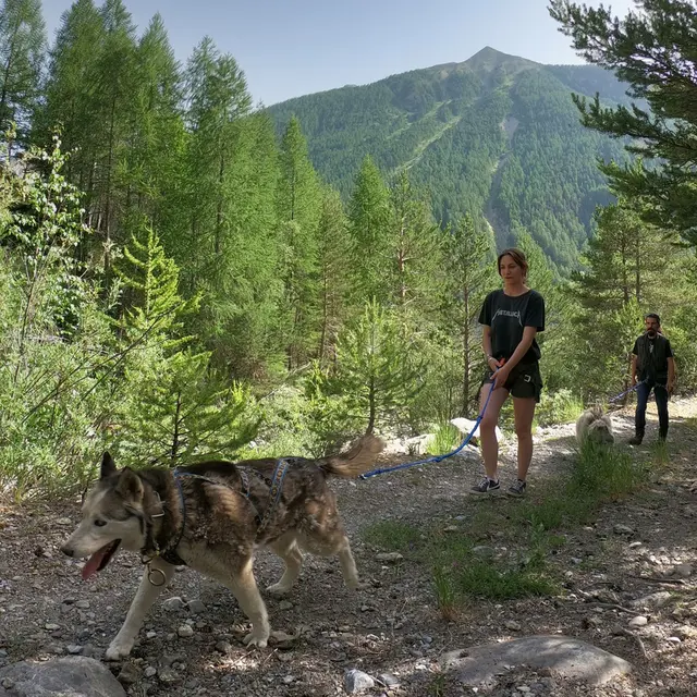 Légende Polaire : cani-randonnée