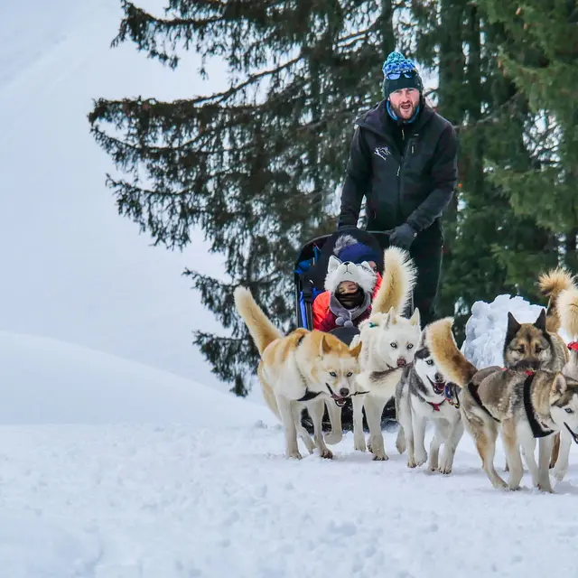 BD Flaine-Granges-Heidi-Chiens-Traineau-Hiver