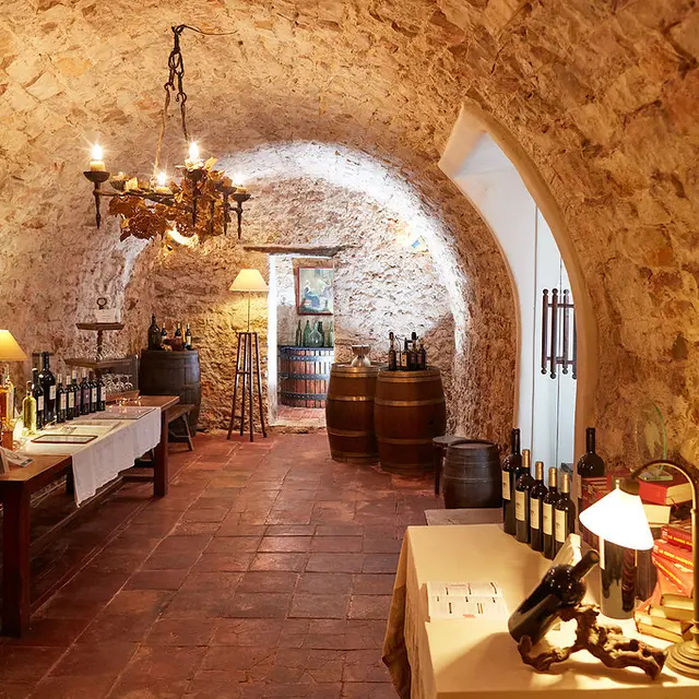 Domaine des Annibals - Brignoles