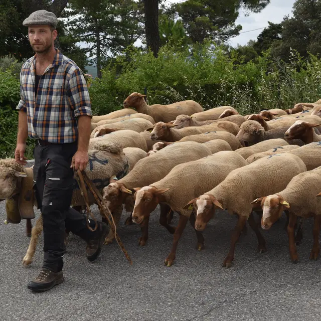 Soirée ciné-débat_Arles