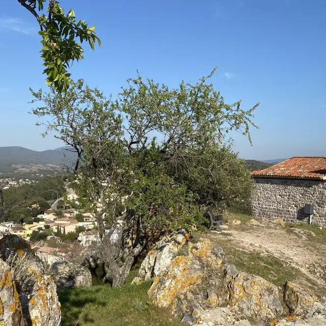 Ouverture exceptionnelle de la chapelle Sainte-Croix_Pierrefeu-du-Var