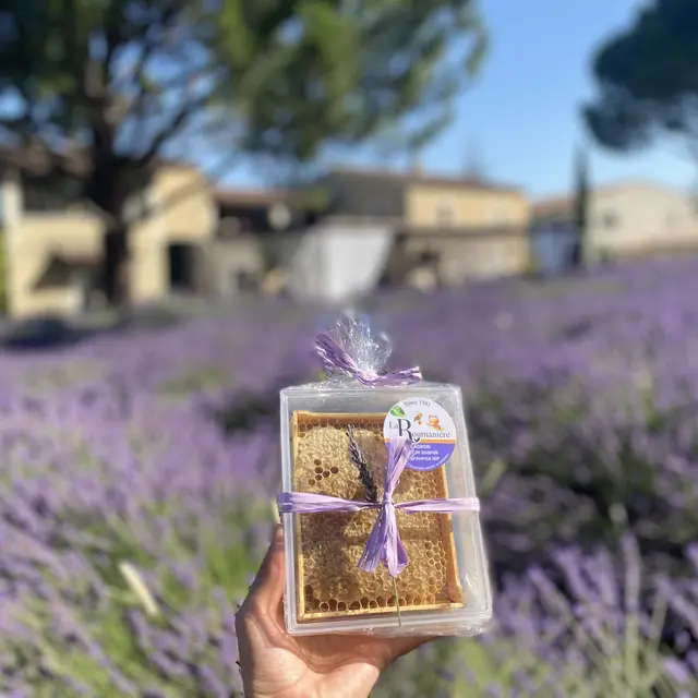 Cadron de miel de Provence IGP