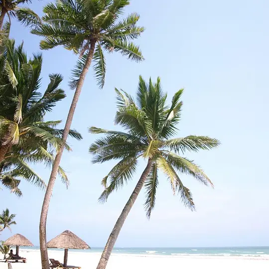 Soirée Antillaise_Orange