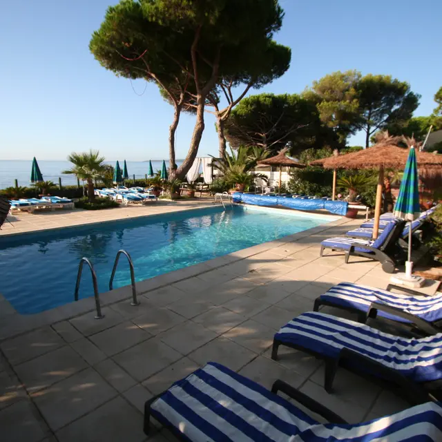 Résidence les palmiers