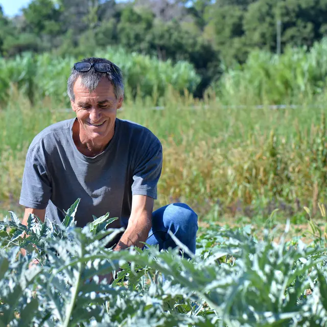 Ramassage des légumes