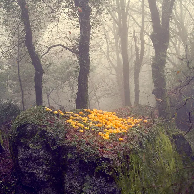Portraits croisés - Portugal / Provence_Aix-en-Provence