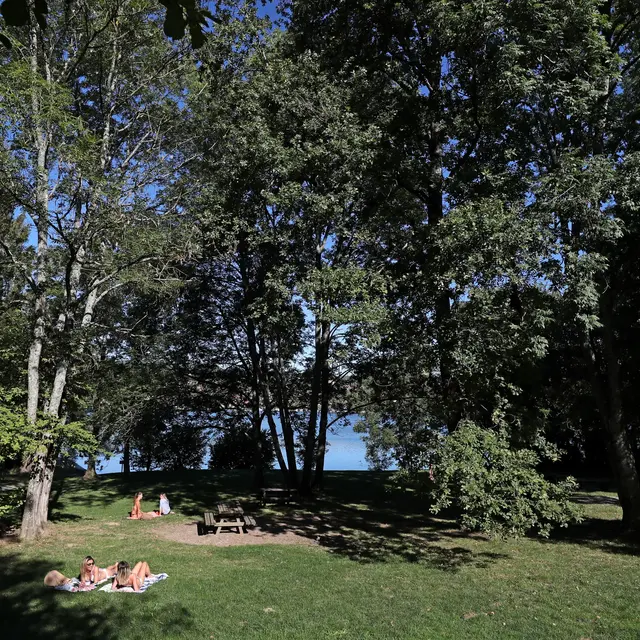 Aire de détente de la Véronnière