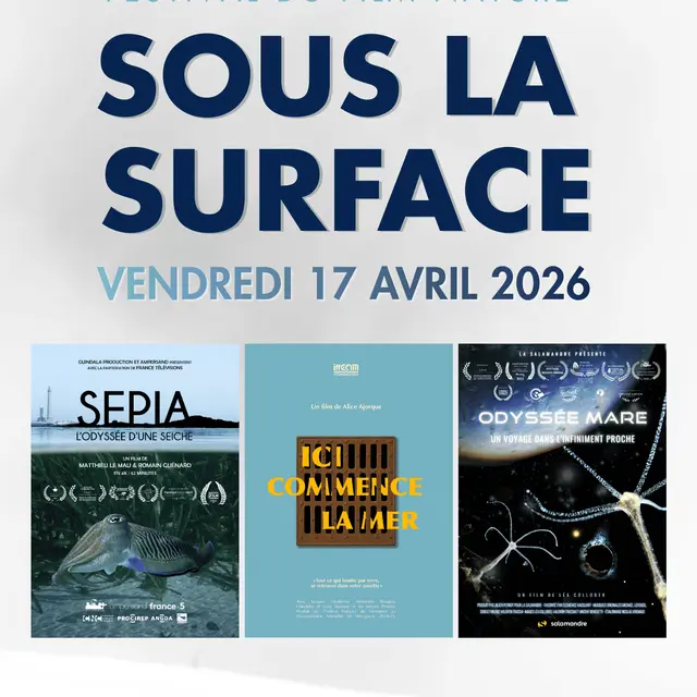 Séance Sous la surface - Festival du Film Nature_Saint-Gervais-les-Bains