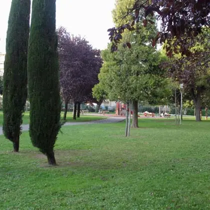 square%2520d'aurele_420x630