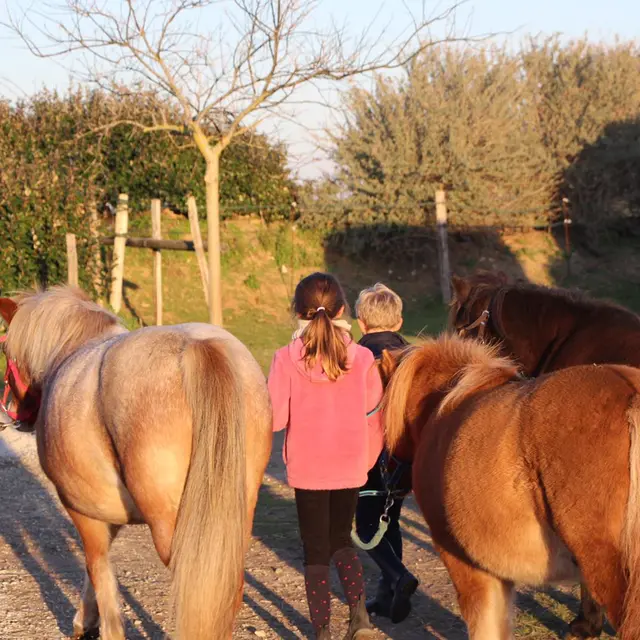 Poney et élèves des cours et stage