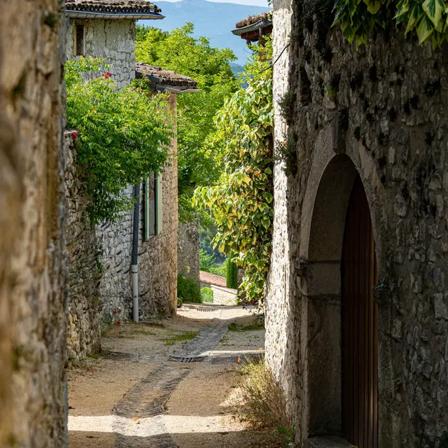 Cobonne