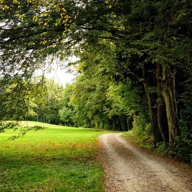 CHEMIN DE TAVERNES ET DU MARAIS