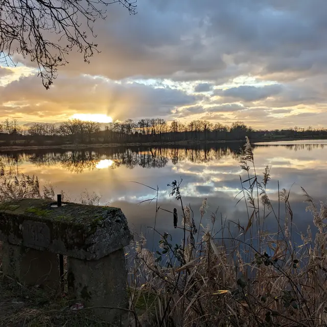 Balade ornithologique au lever du soleil_Versailleux