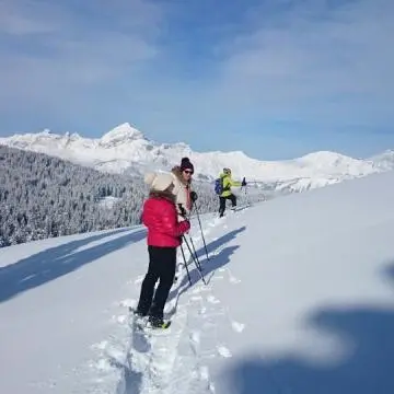 Immersion panoramique dans les alpages_Les Saisies