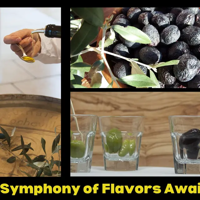 Dégust'olives_Nyons