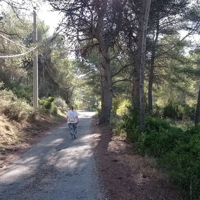 Sentier des vignerons - Boucle panoramique_Martigues