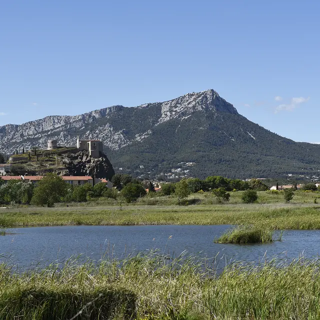 Espace nature départemental du Plan