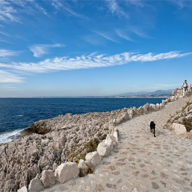 Tour du Cap