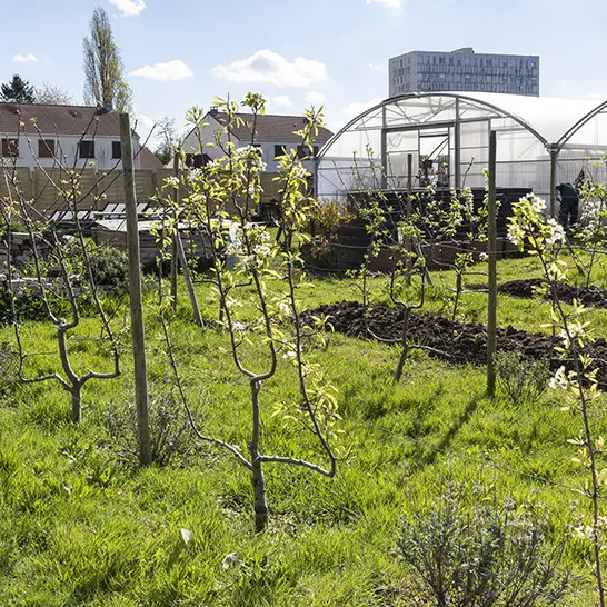 Ferme des Possibles