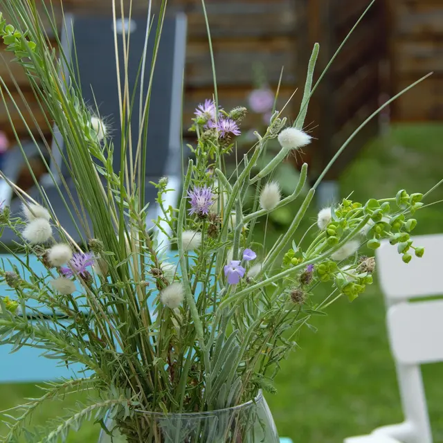 Envie d'une pause au jardin