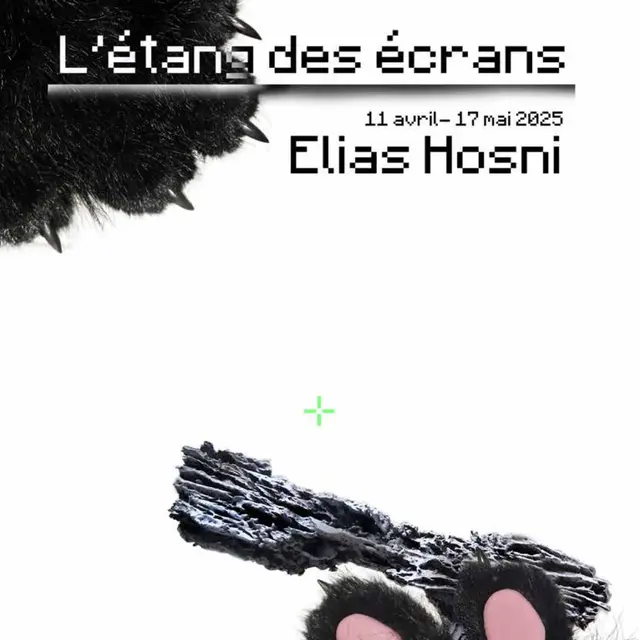 Artiste à découvrir - Elias Hosni « L'étang des écrans »_Toulon