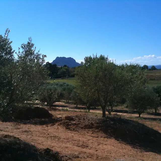Clos Saint Martin
