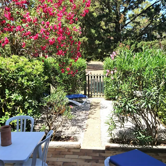 Studio -LE ZEN  Mme De Bévy