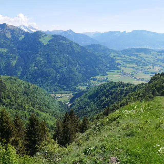 Balade pédestre - La Pointe des Brasses depuis La Joux_Saint-Jeoire