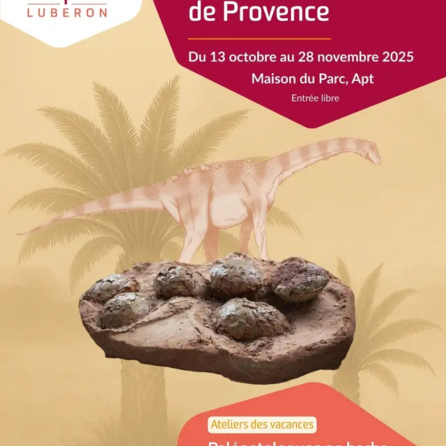 Exposition « Œufs et dinosaures de Provence »_Apt